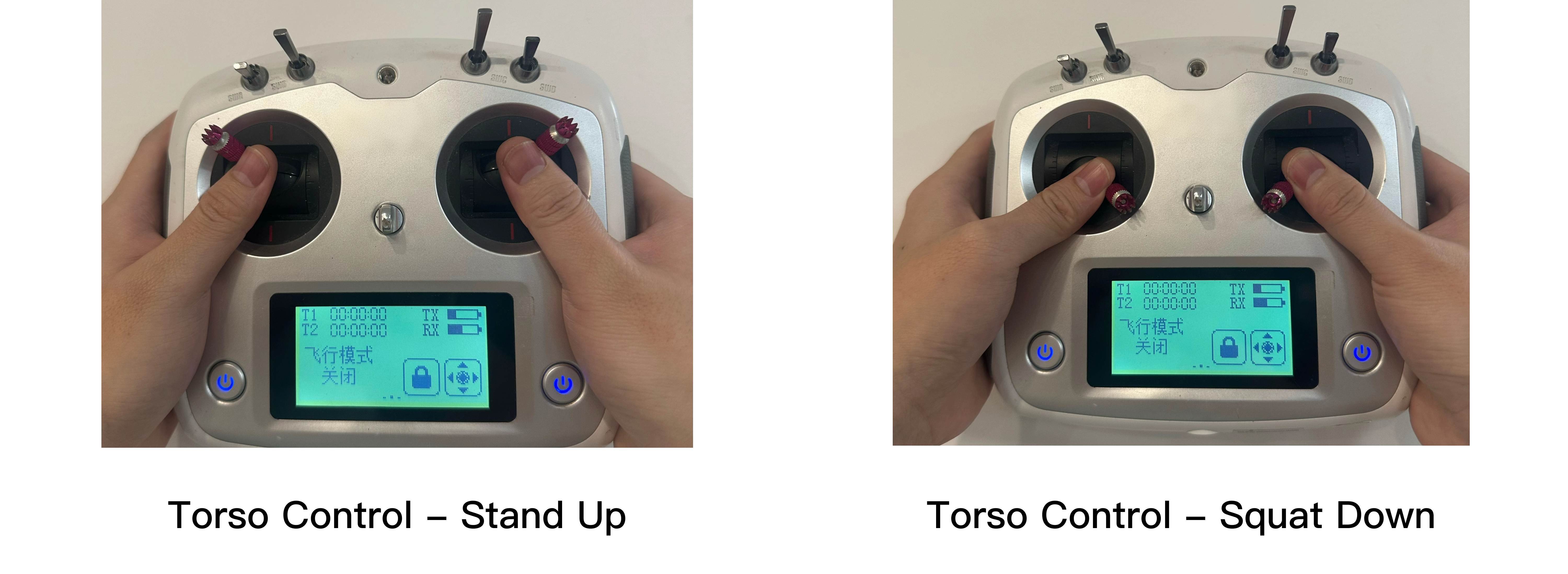 R1_controller_squat_stand