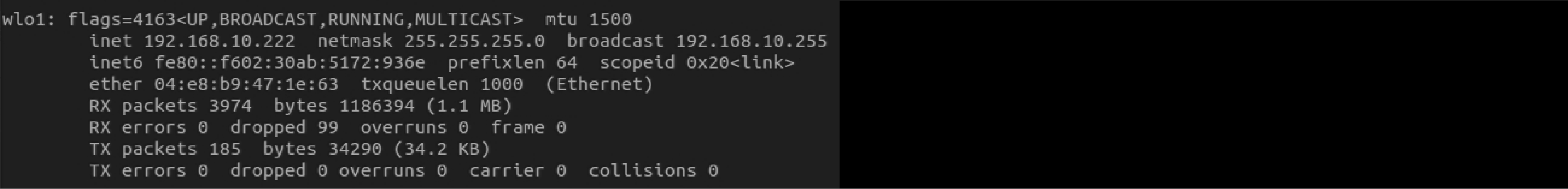 R1_Lite_wlo1_en