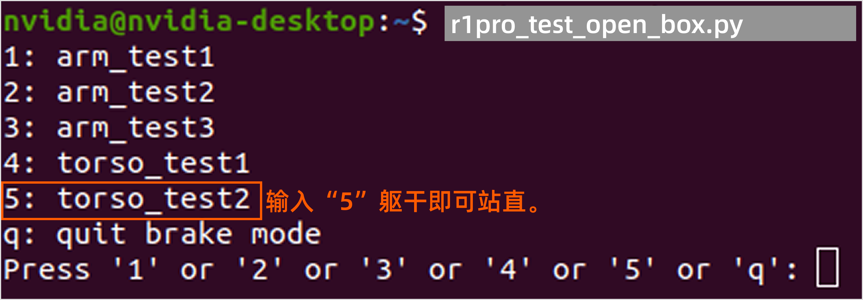 R1Pro_4.5_enter5