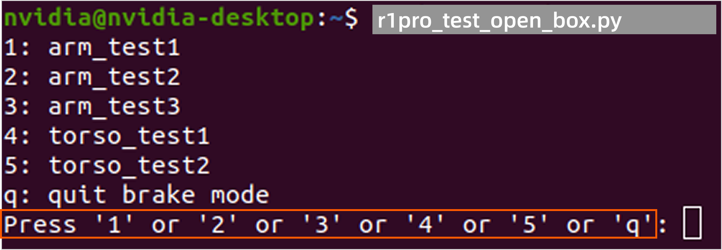 R1Pro_7_enter1