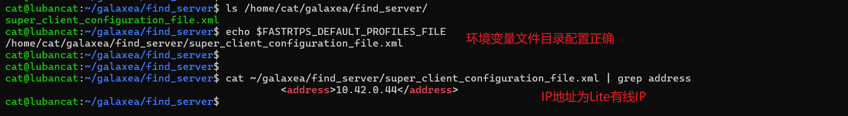 R1_Lite_Teleop_ros2_Find_Server_LiteT_Config